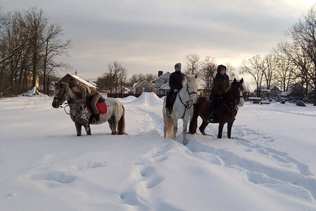 Катания на лошадях вдвоём. Конный клуб Konipark в Пензе