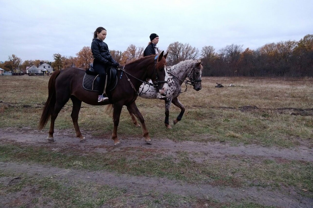 Верховая езда на лошади вдвоём. КСК Konipark в Пензе